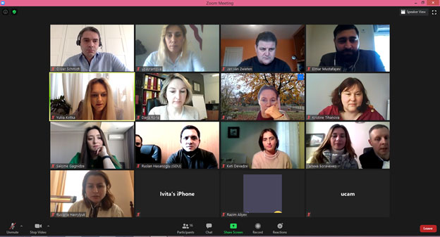 Virtual meeting with MEDIATS project partners