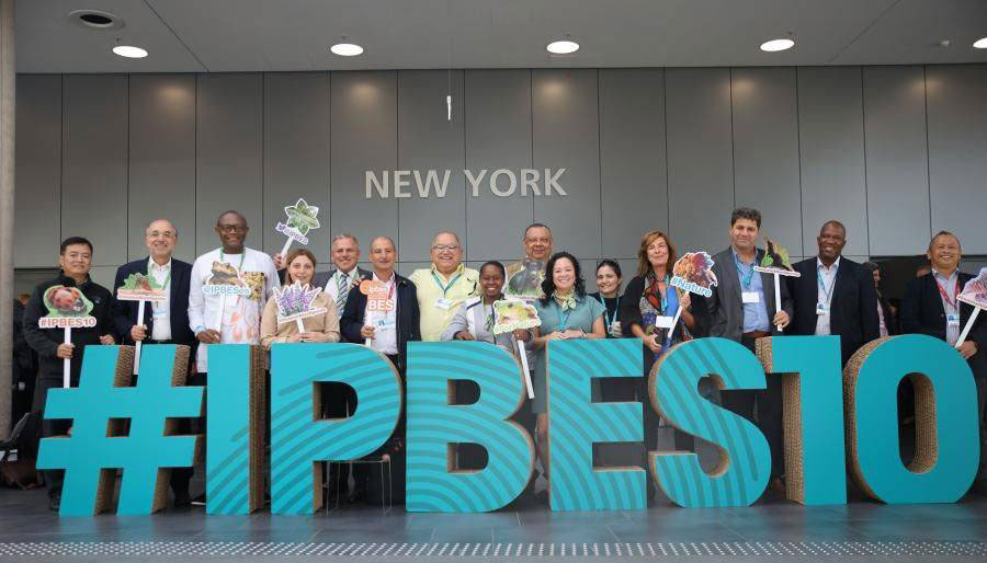 Geography and Environment Department Head at the Plenum of IPBES