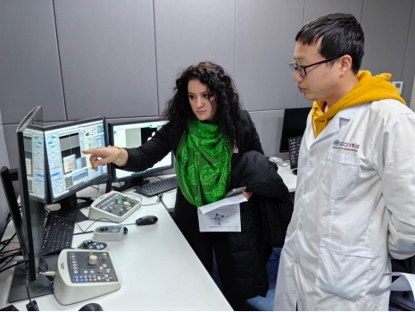 Head of Physics and Electronics Department at Fudan University