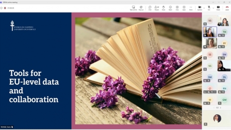 Online Seminar on the DIRNA Project