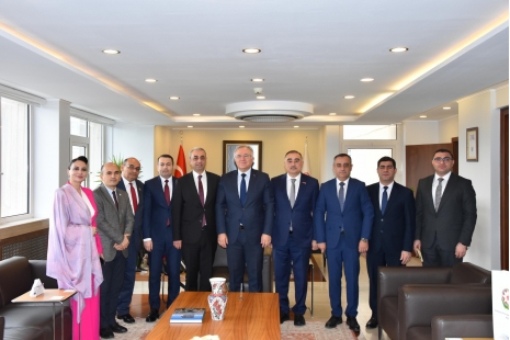 Head of Department at Hacettepe and Ankara Hacı Bayram Veli Universities