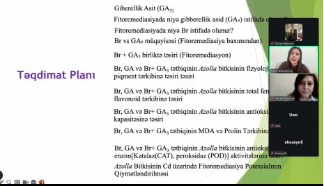 İstanbul Universitetində təhsil alan doktorantın seminarı   